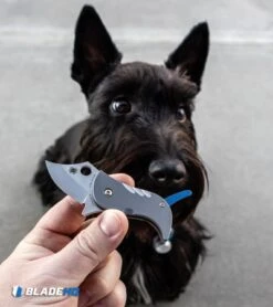 Spyderco Pochi Frame Lock Knife Titanium (1.56" Satin S45VN) -Knife Promotional Store Spyderco Pochi Frame Lock Knife Titanium Satin S45VN BHQ 112401 kp Lottie the Scottie web